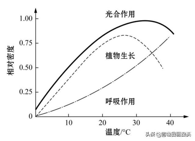 烈焰温度：火焰对环境的影响与作用