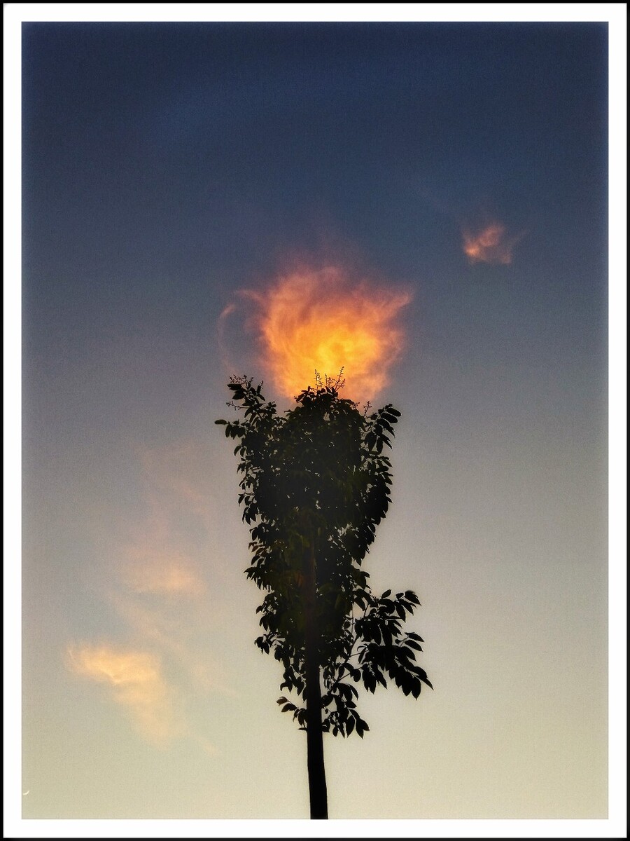 烈焰飞扬：火焰在空中飞舞的壮观景象